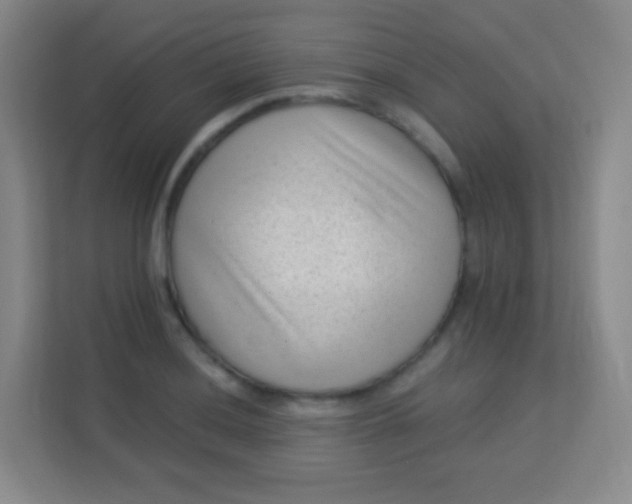 X0000113941036200910091618