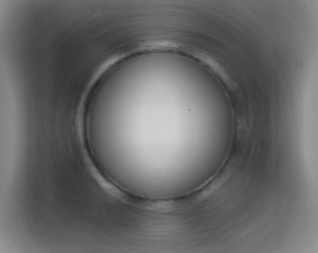 X0000113941038200910091619