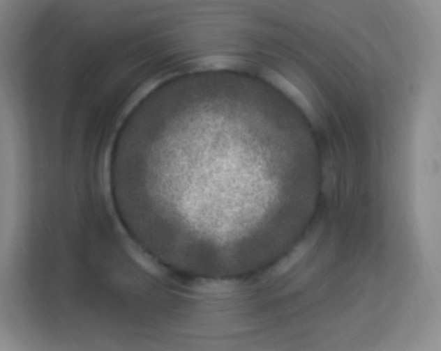 X0000113941039200910091619