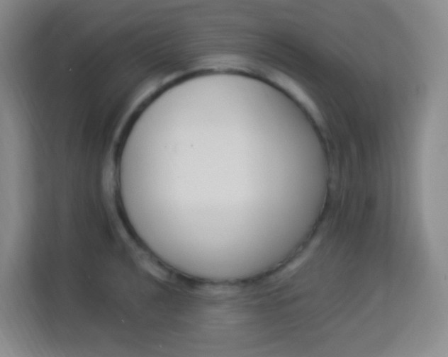 X0000113941040200910091619