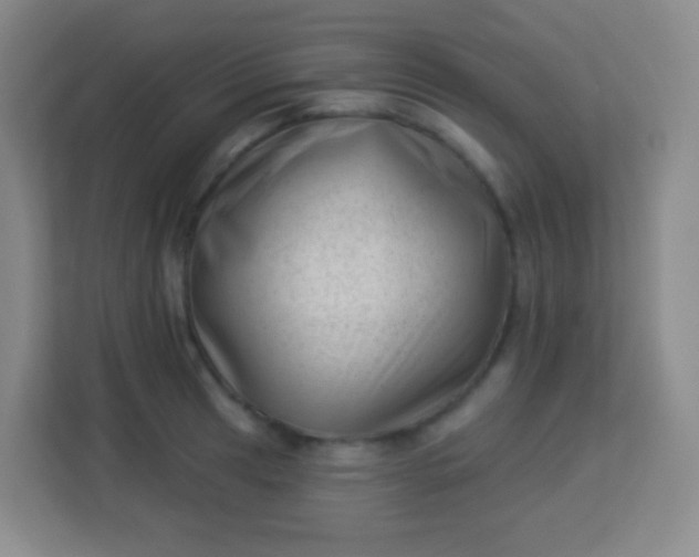 X0000113941041200910091619