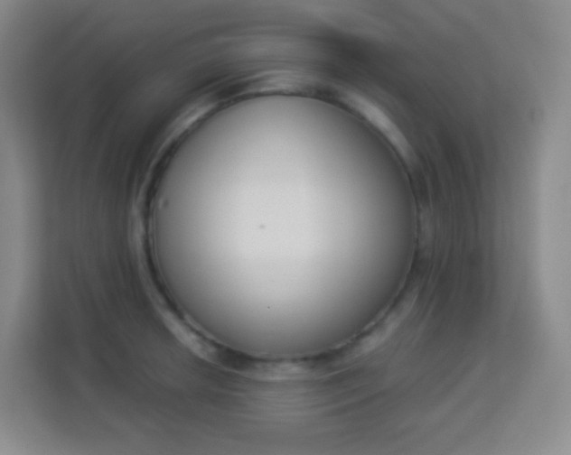 X0000113941042200910091619