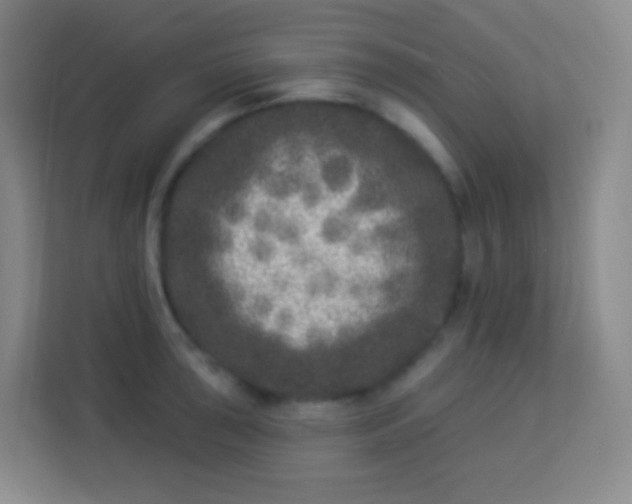 X0000113941043200910091619