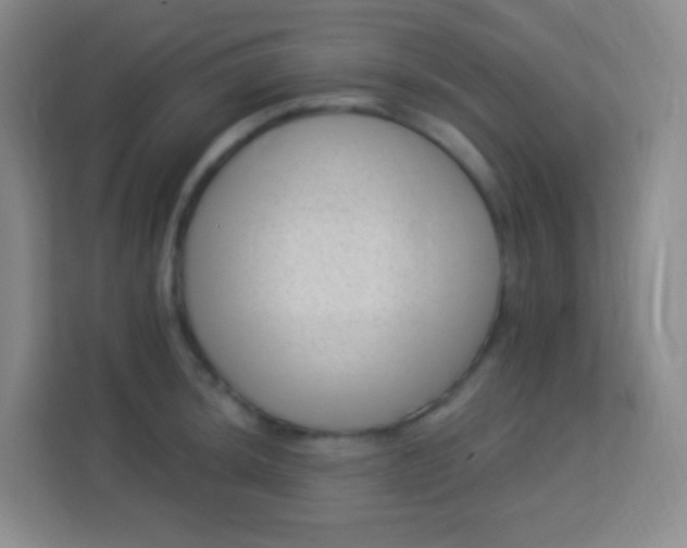 X0000113941044200910091619