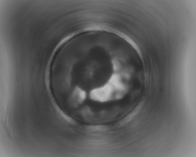 X0000113941045200910091619