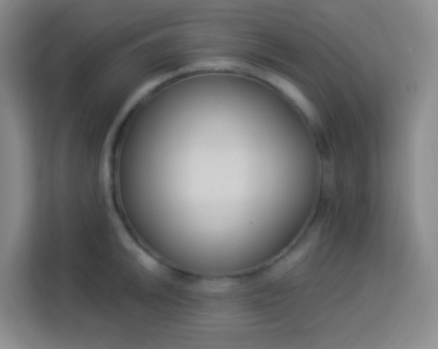 X0000113941046200910091619