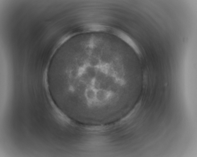 X0000113941047200910091619