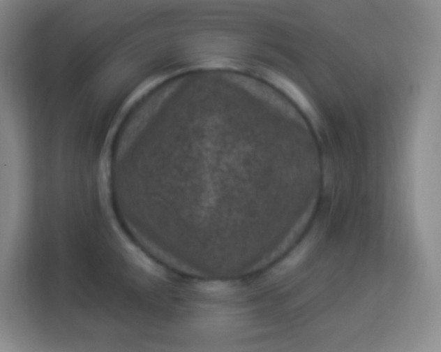 X0000113941048200910091619