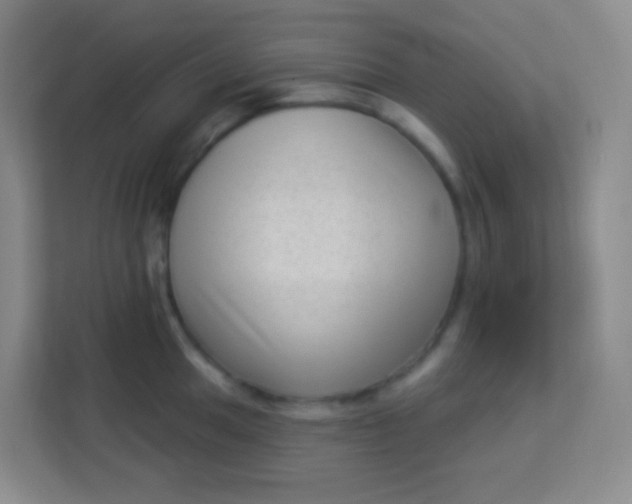 X0000113941049200910091619