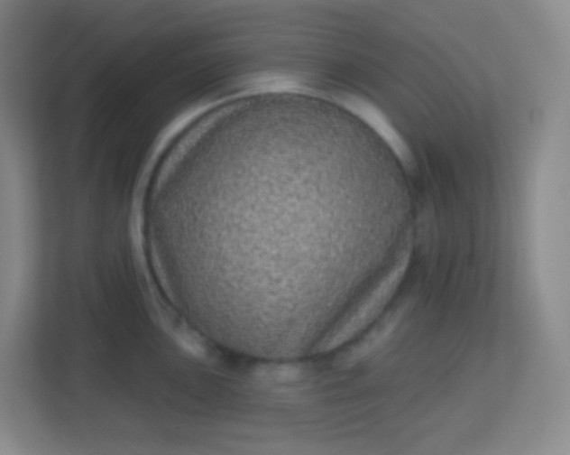 X0000113941051200910091619