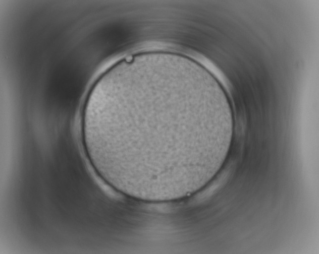 X0000113941053200910091619