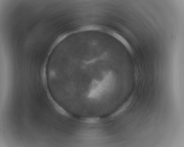 X0000113941055200910091619