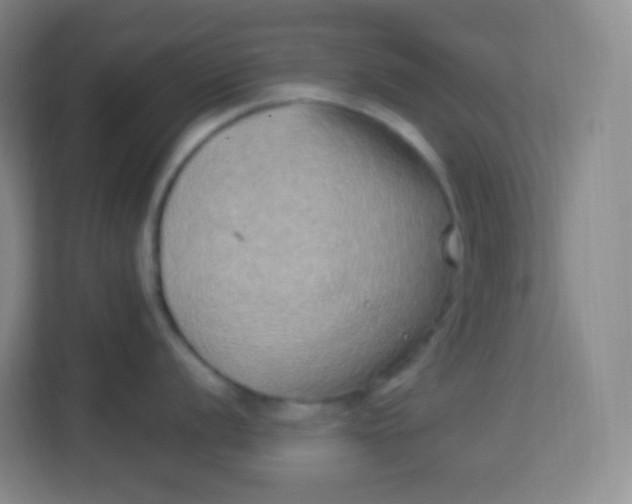 X0000113941056200910091619