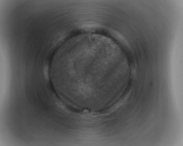 X0000113941060200910091618