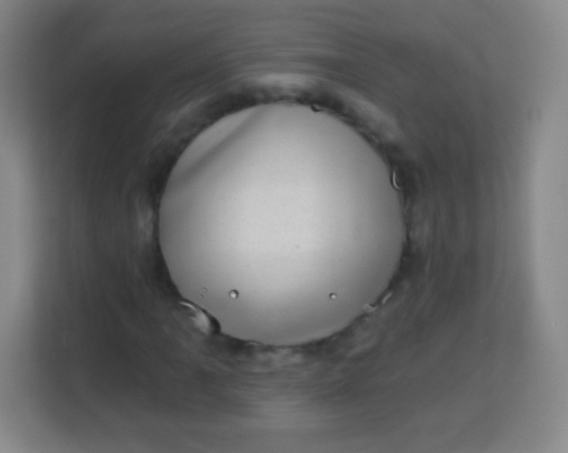 X0000113941061200910091618