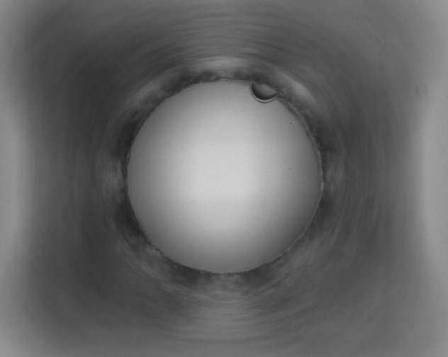 X0000113941062200910091618