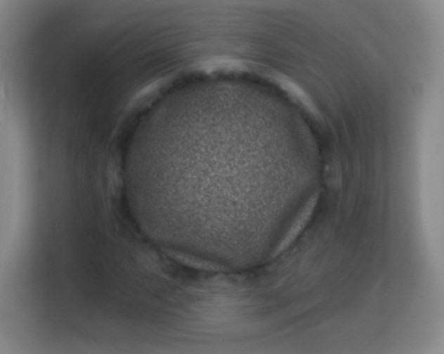 X0000113941063200910091618