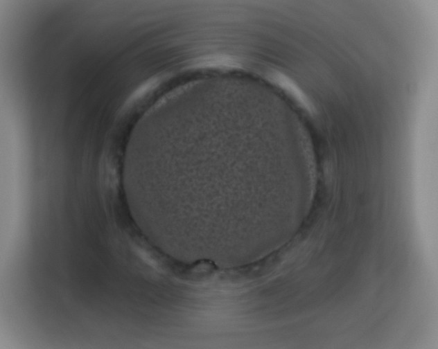 X0000113941064200910091618