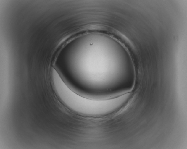 X0000113941065200910091618