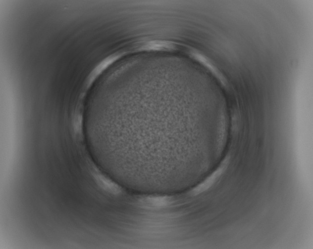 X0000113941066200910091618