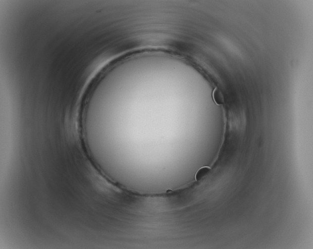 X0000113941068200910091618