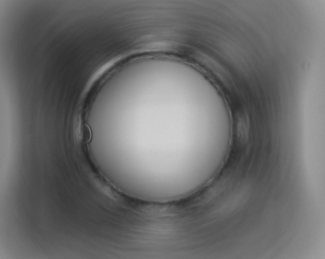 X0000113941069200910091618