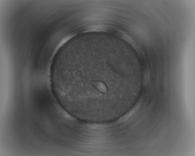 X0000113941071200910091618