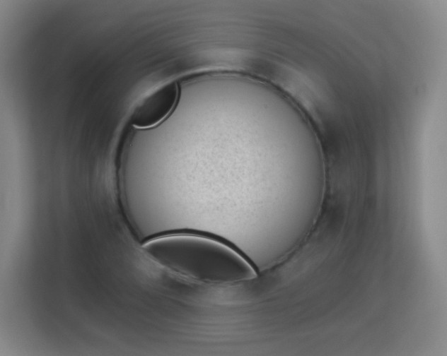 X0000113941072200910091618