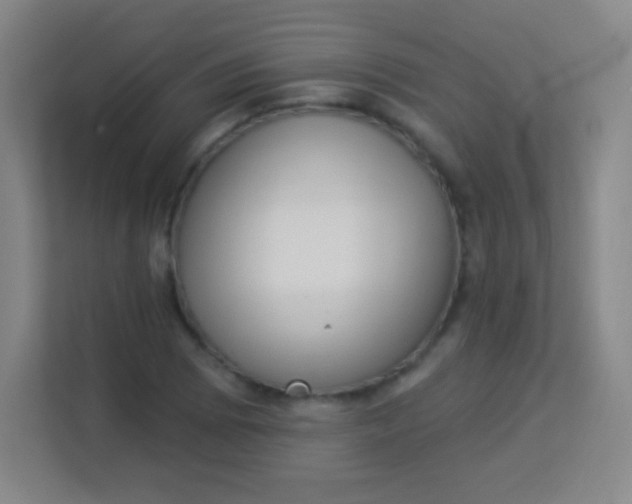 X0000113941073200910091618