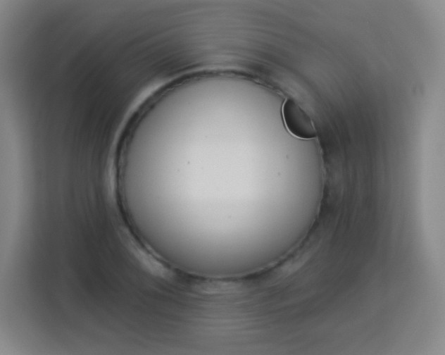 X0000113941076200910091618