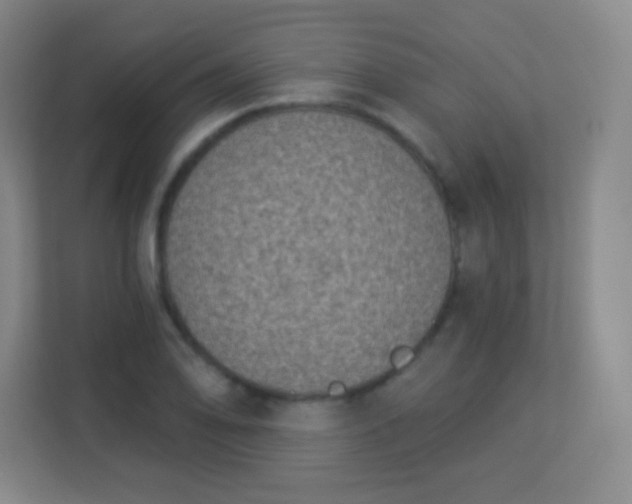 X0000113941078200910091618