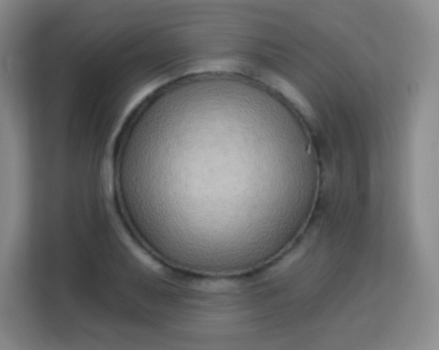 X0000113941079200910091618