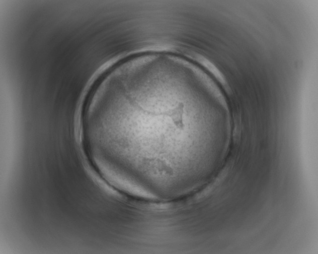 X0000113941080200910091618