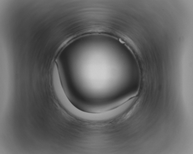 X0000113941081200910091618