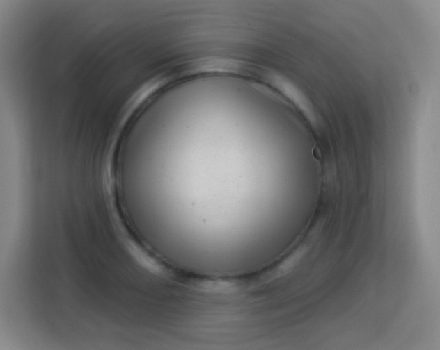 X0000113941082200910091618