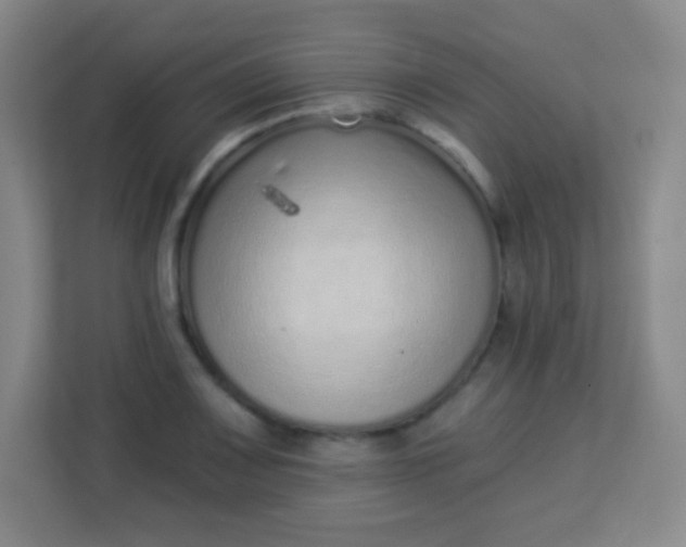 X0000113941083200910091618