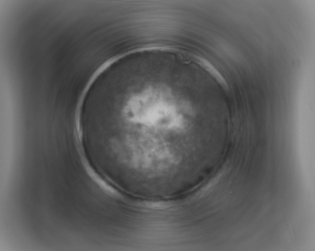 X0000113941084200910091618