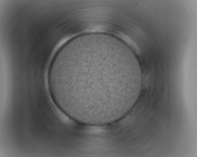 X0000113941086200910091618