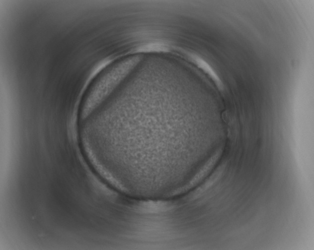 X0000113941087200910091618