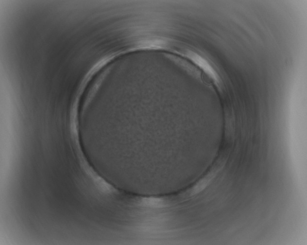 X0000113941088200910091618