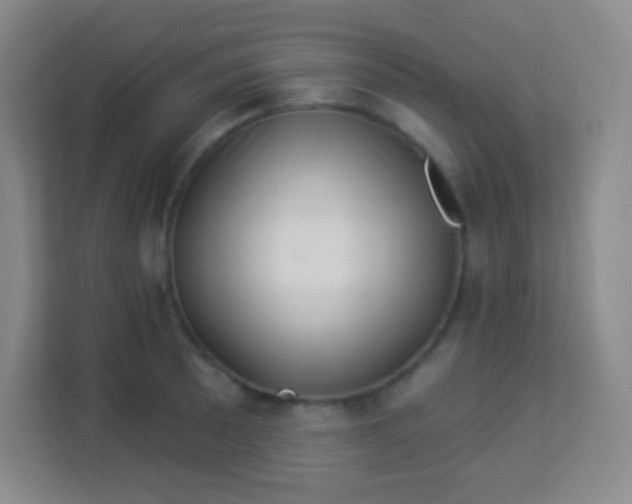 X0000113941089200910091618