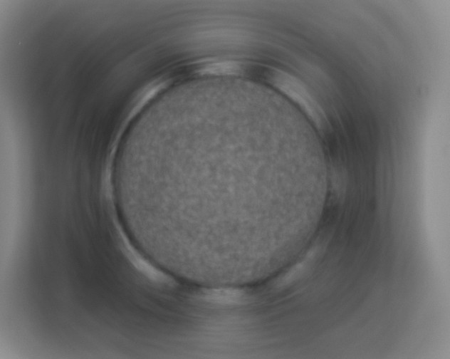 X0000113941090200910091618