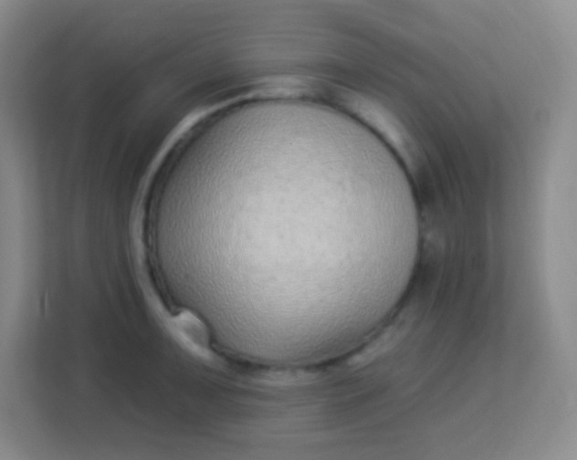 X0000113941091200910091618