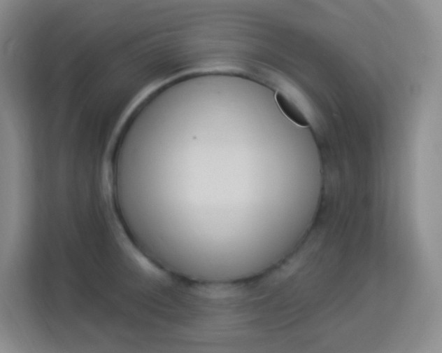 X0000113941092200910091618