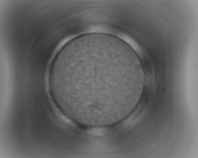 X0000113941094200910091618