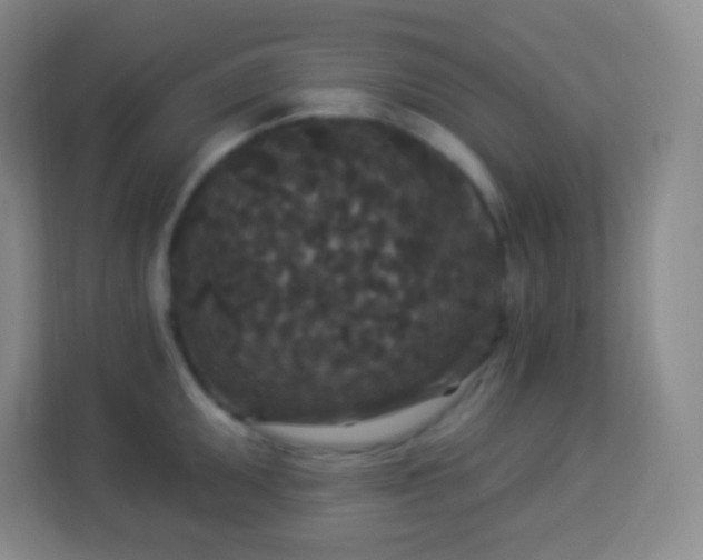 X0000113941095200910091618