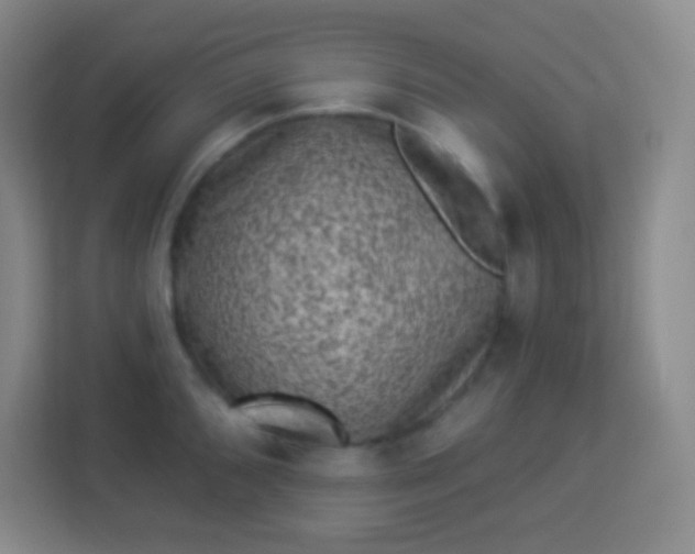 X0000113941096200910091618