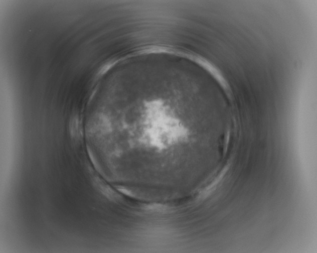 X0000113941097200910091618