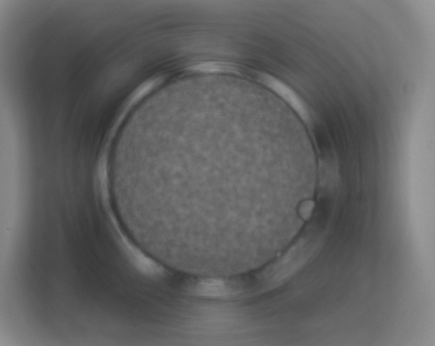 X0000113941098200910091618