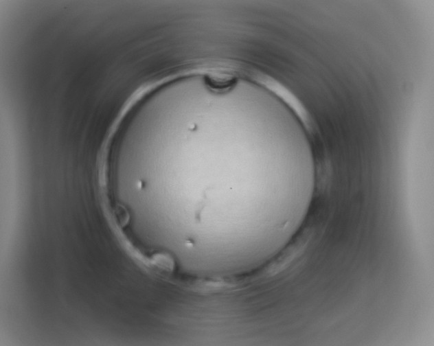 X0000113941099200910091618